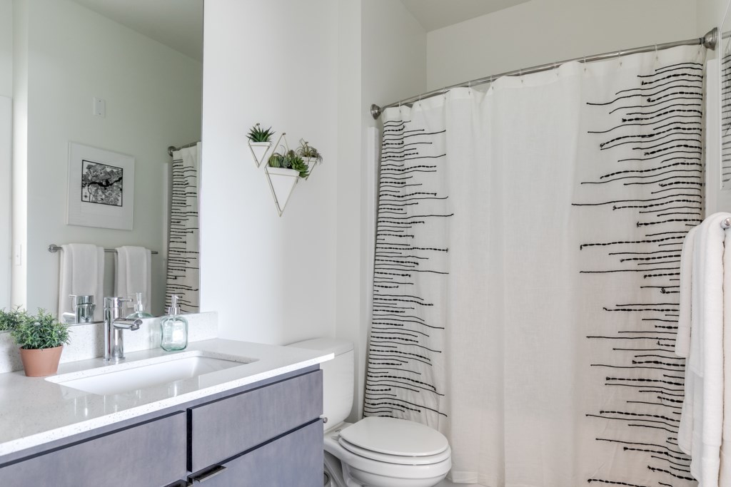 Modern bathroom which includes shower essentials like body wash, shampoo, and conditioner. 