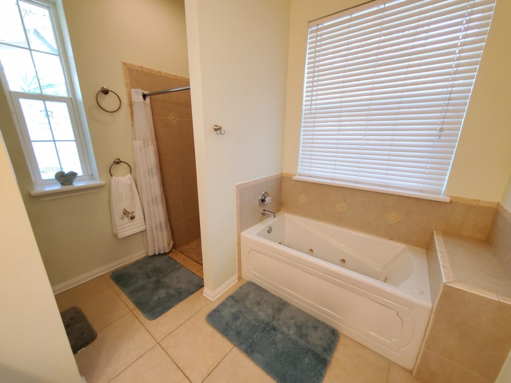 Master Bath with Jacuzzi Tub and Walk-In Shower