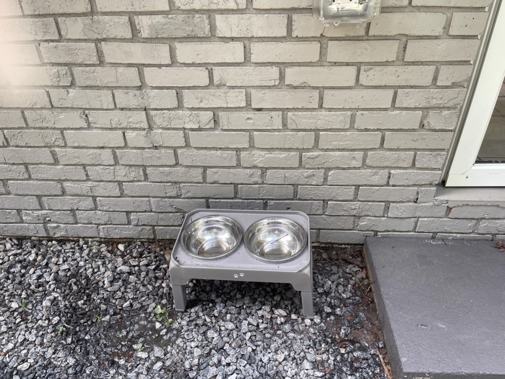 dog bowls at 1816 Wimbeldon