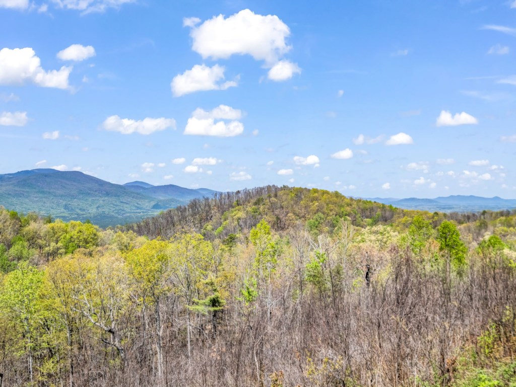 36-web-or-mls-13-game-lands-trail