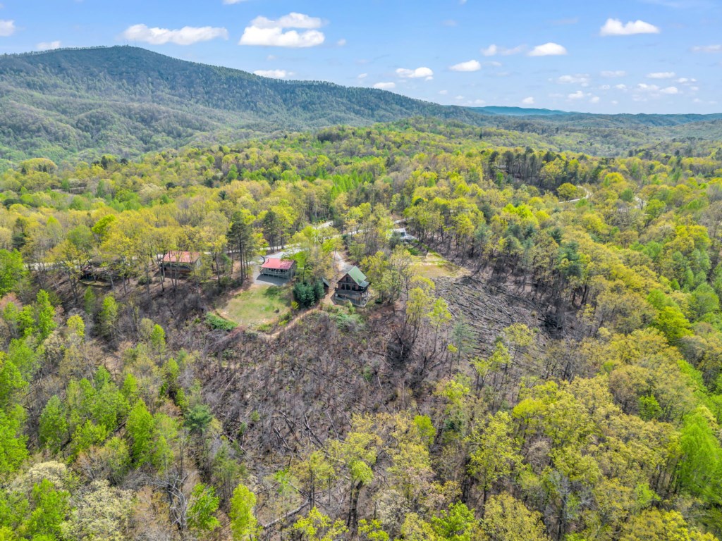 50-web-or-mls-13-game-lands-trail