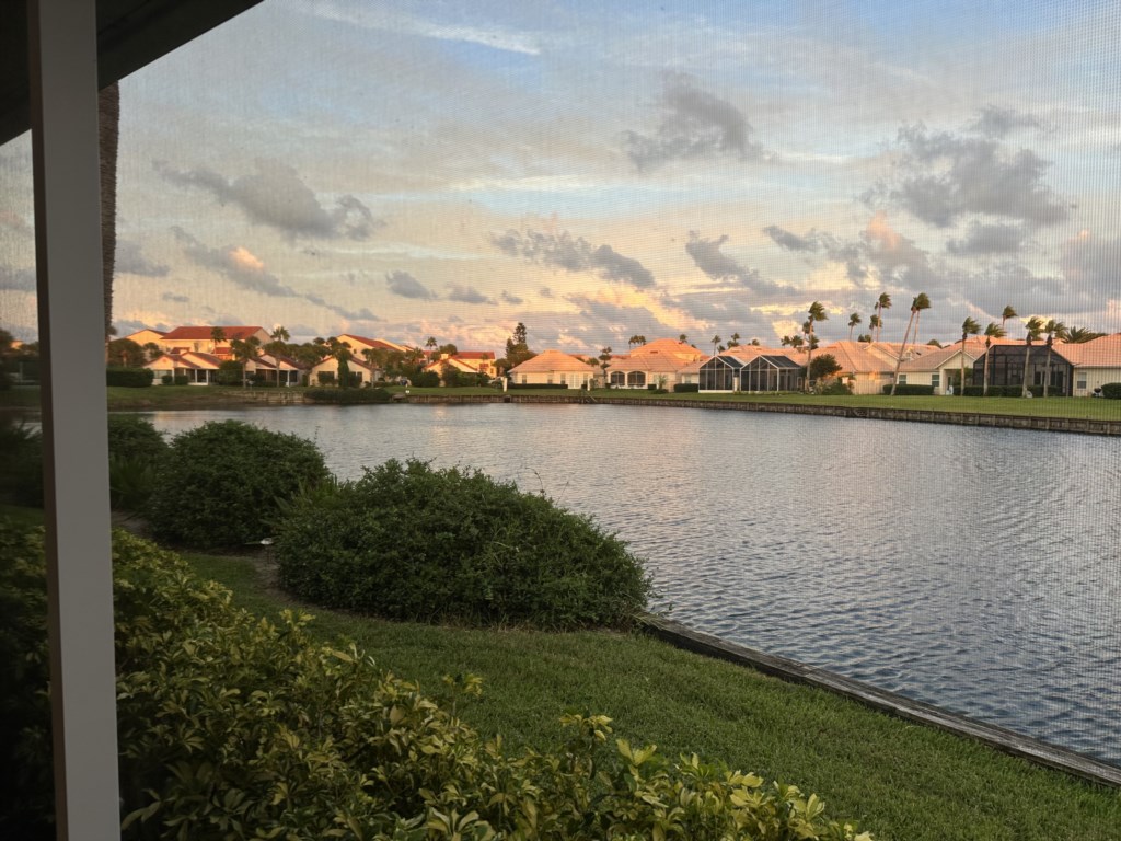 View of Pond 