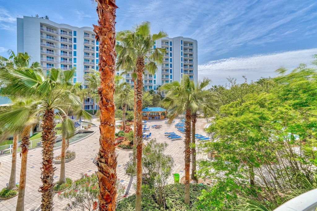 Lush palms surrounding the resort