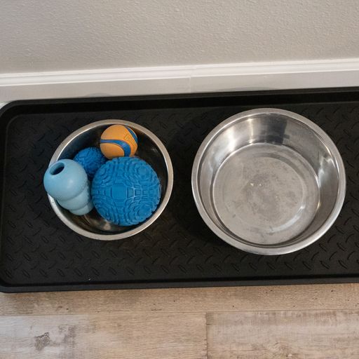 Dog bowls and toys