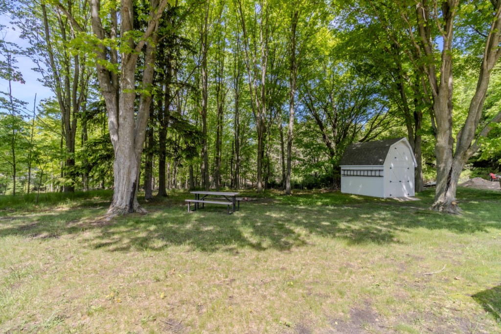 Back yard