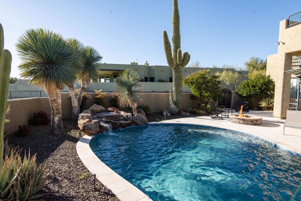 Cactus and sunshine…the desert life!