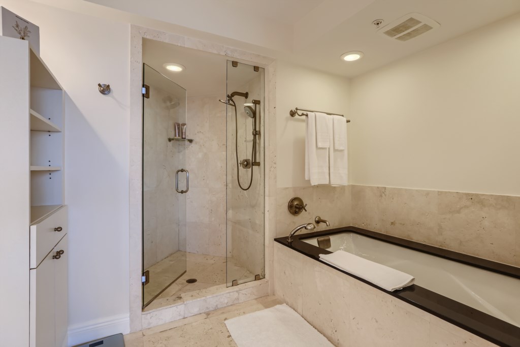 Primary Bathroom Shower and Tub