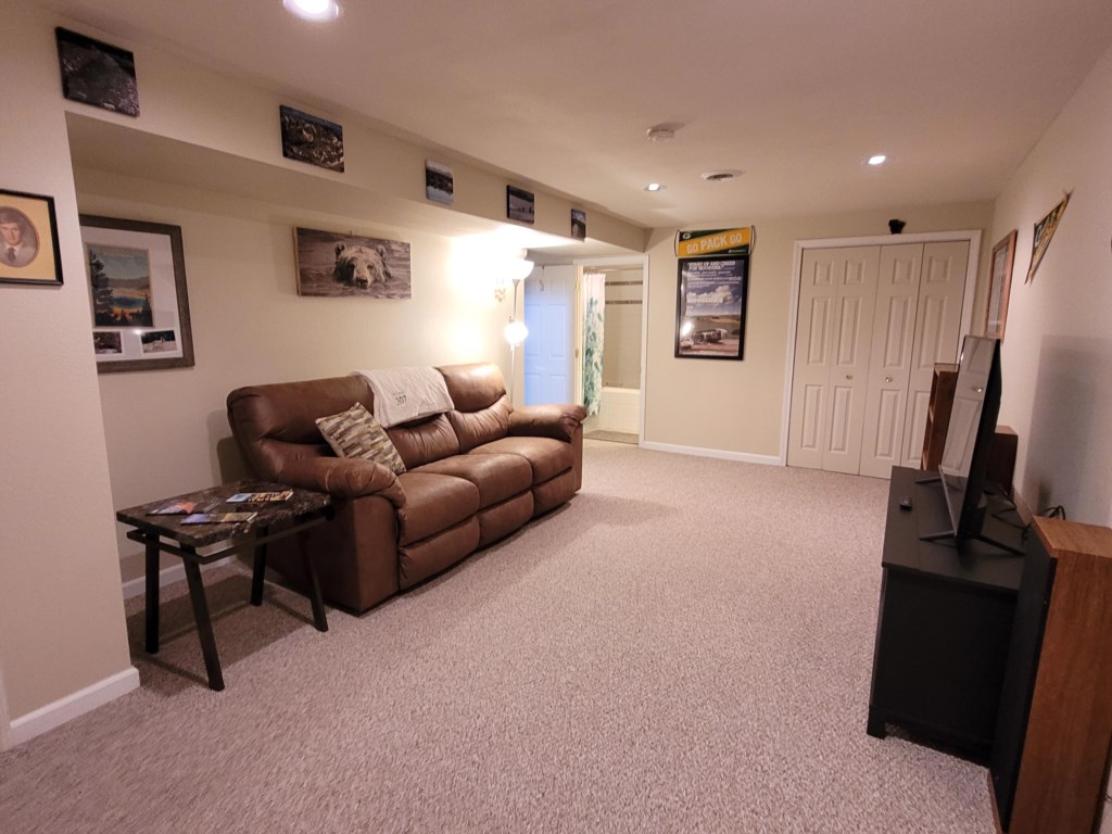Lower Level Living Area