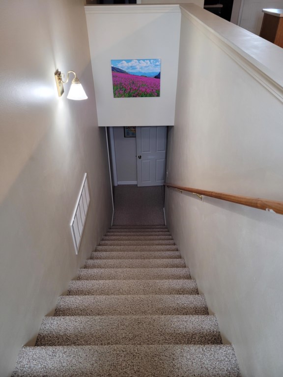 Stairs to lower level with 2nd bathroom and living area