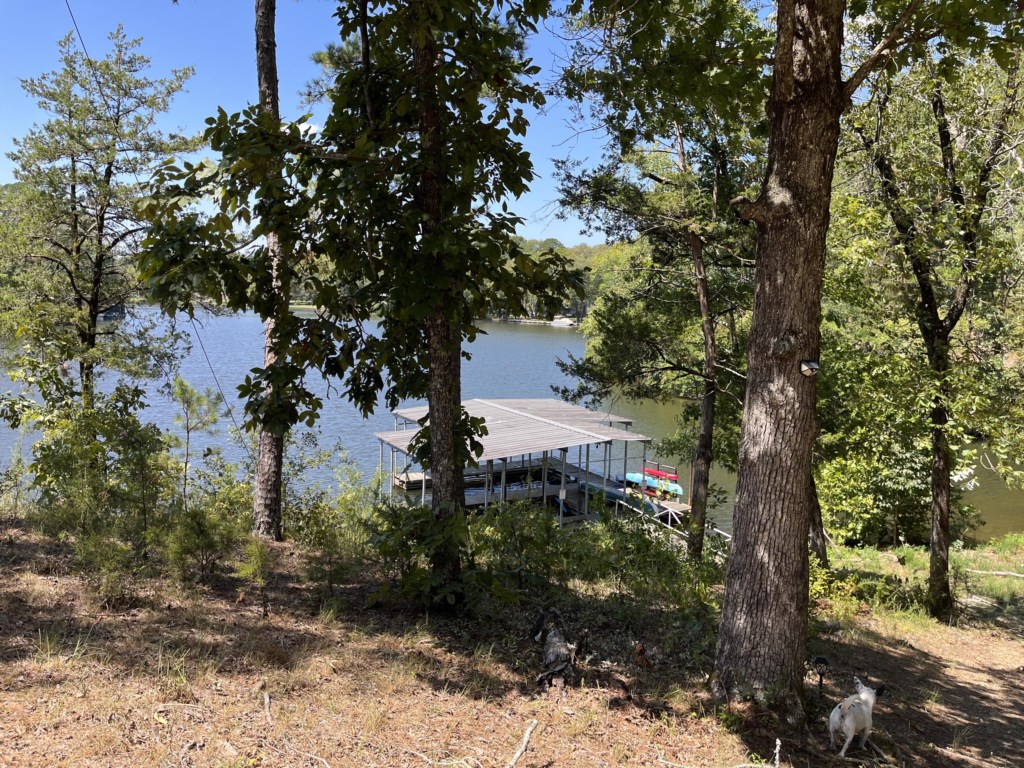 View of lake and boat dock