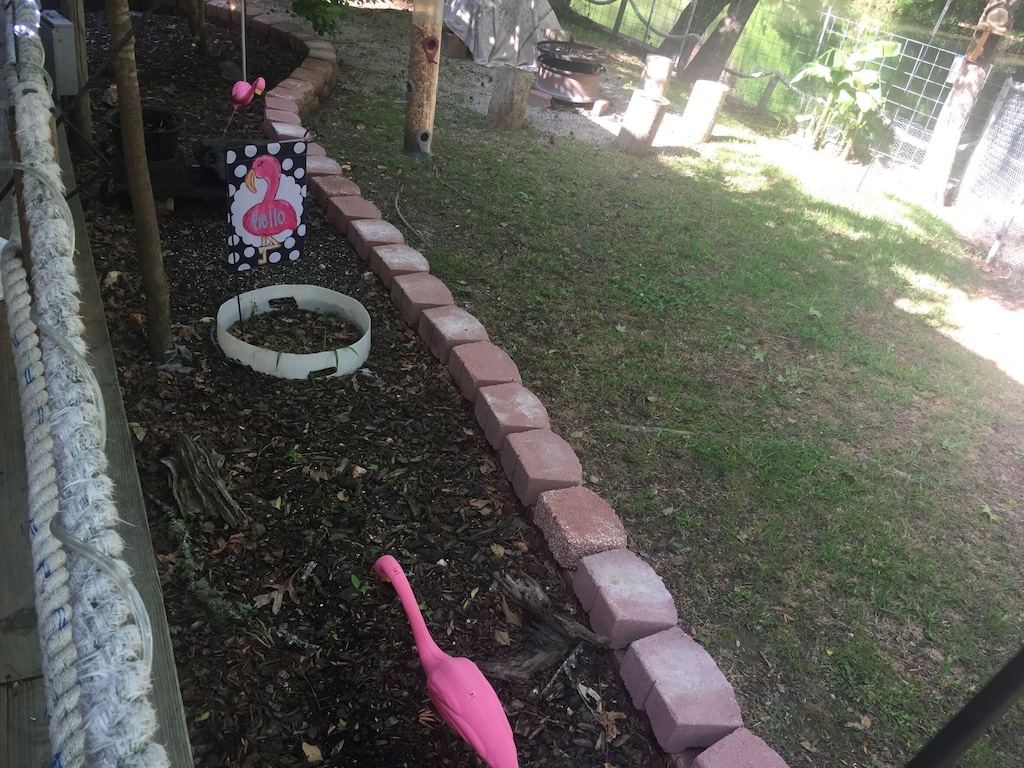 Flamingoes abound!