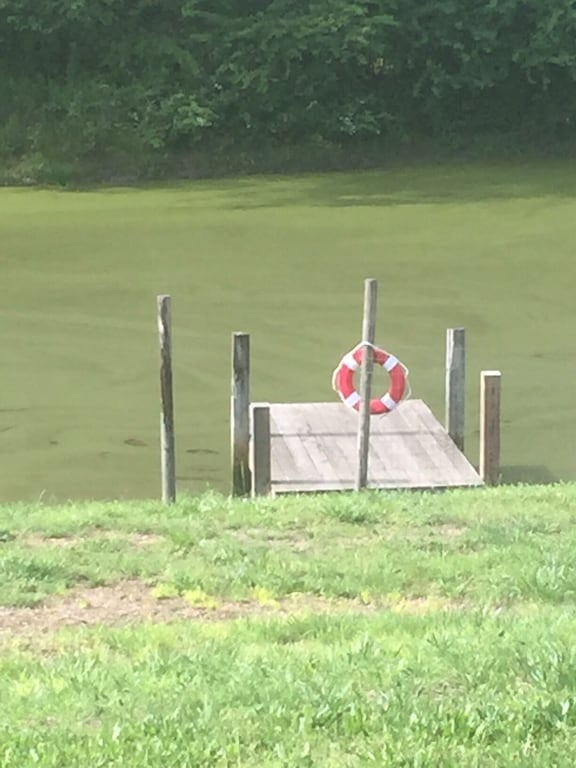 Pier for Fishing in the large Pond.