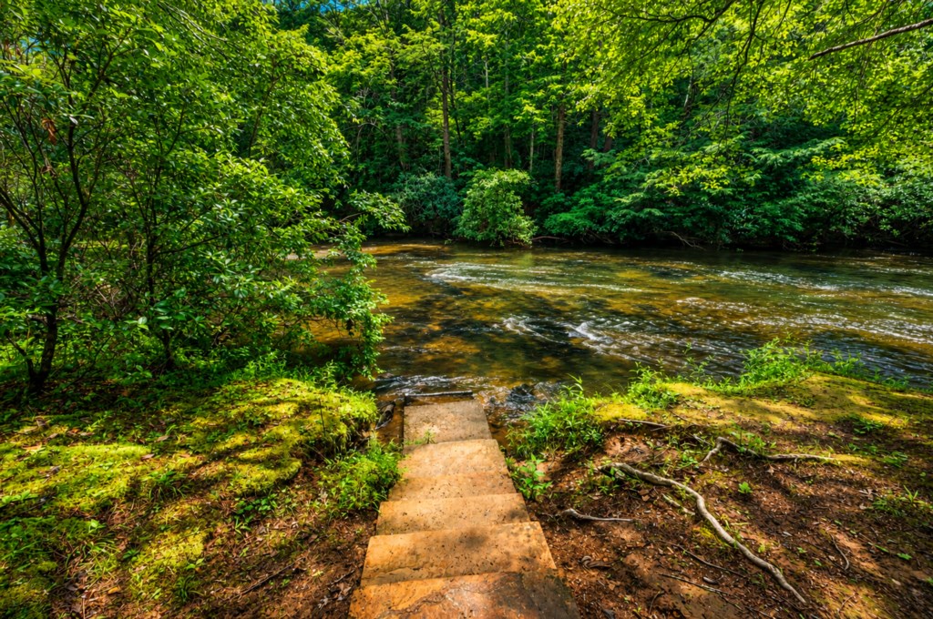 Private river access surrounded by lush greenery for a peaceful nature retreat.