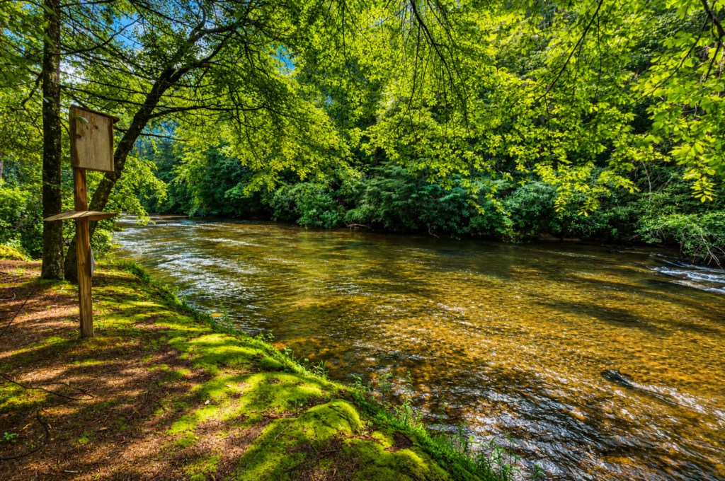 Serene riverside spot perfect for nature walks and relaxation.