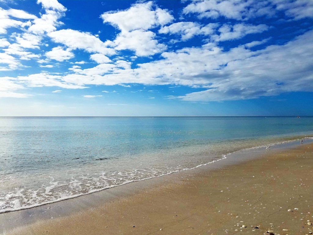 Swim, kayak, paddle board or walk Stump Pass State beach. 