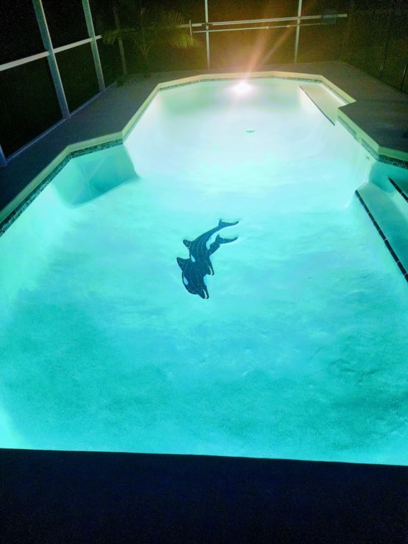 pool-nighttime.jpg