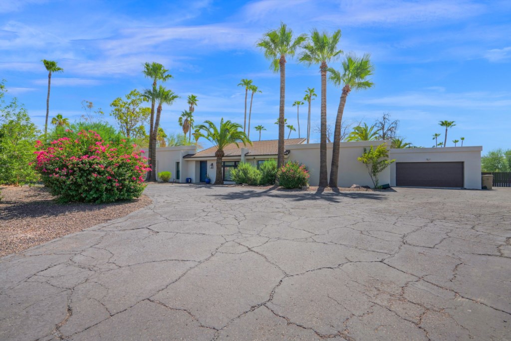 51-web-or-mls-P1280116