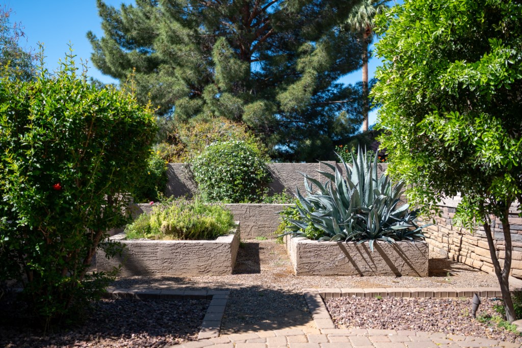 Tranquil garden with lush greenery and raised planters for a peaceful outdoor retreat.