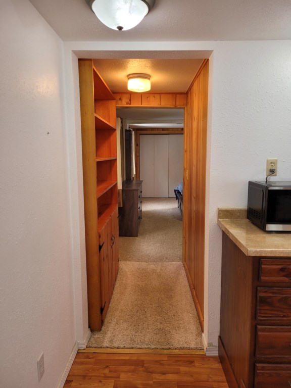 Hall to Bedroom from Living Area/Kitchen