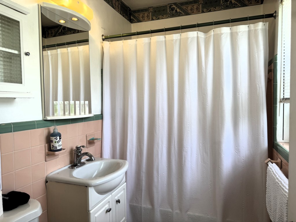 Master Bathroom pic1