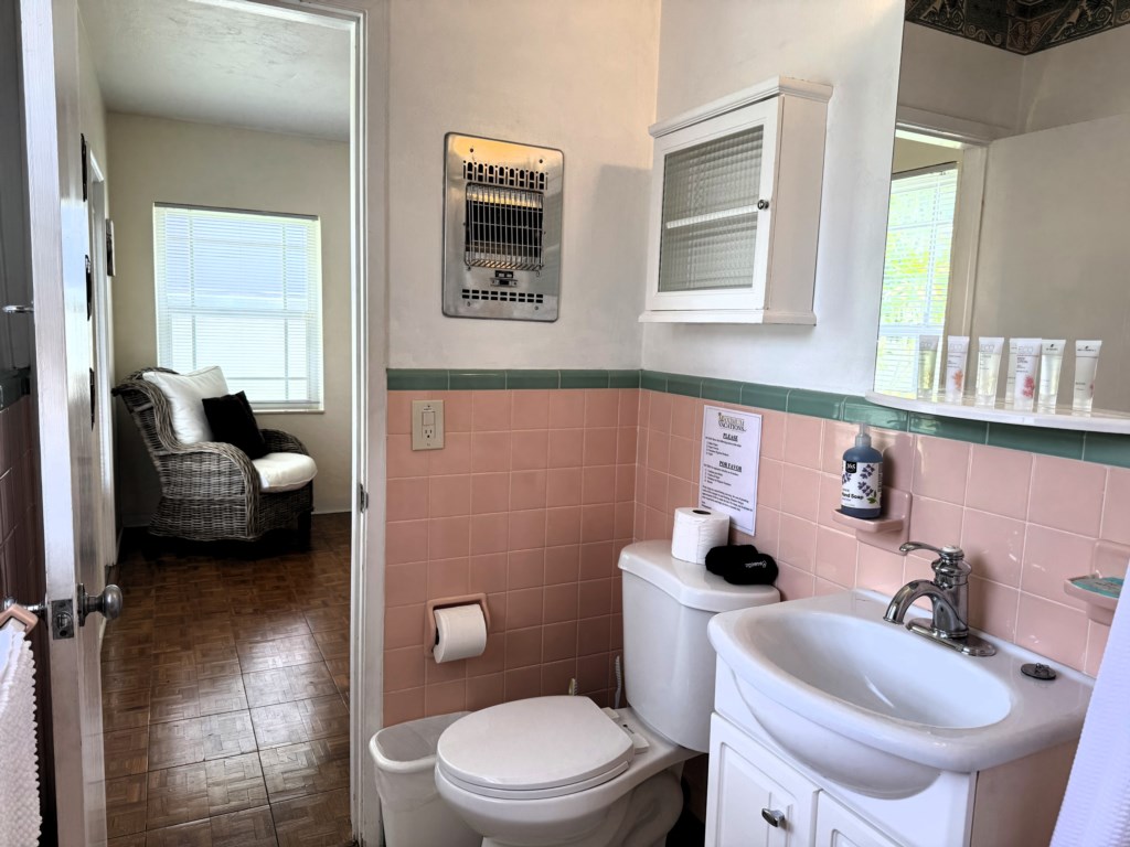 Master Bathroom pic2