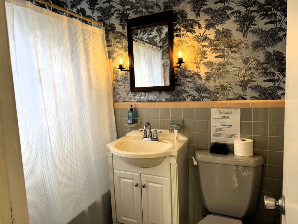 Guest Bathroom pic1