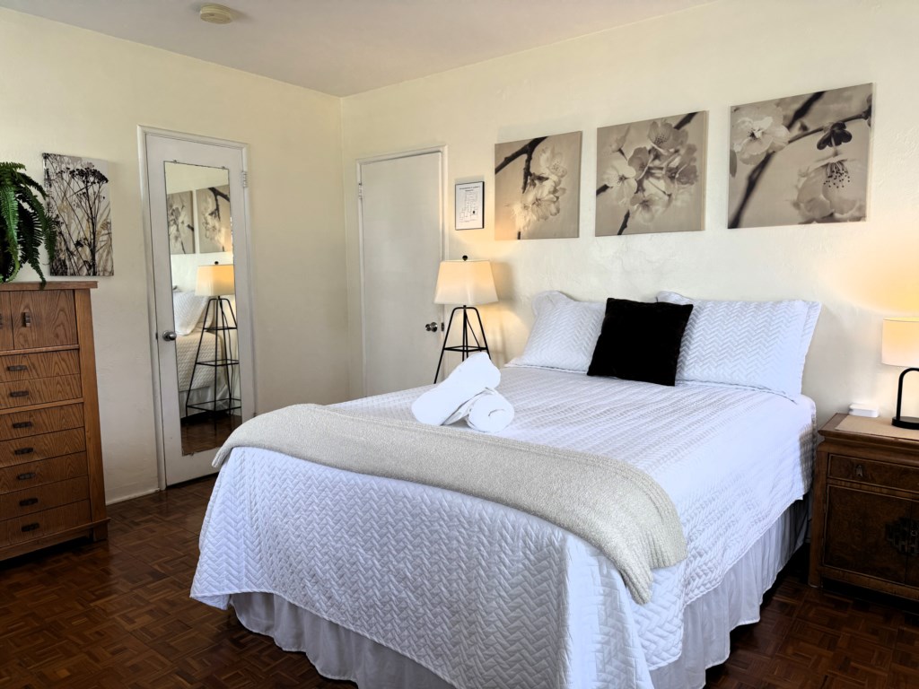 Master Bedroom pic4