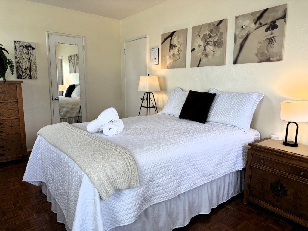 Master Bedroom pic5