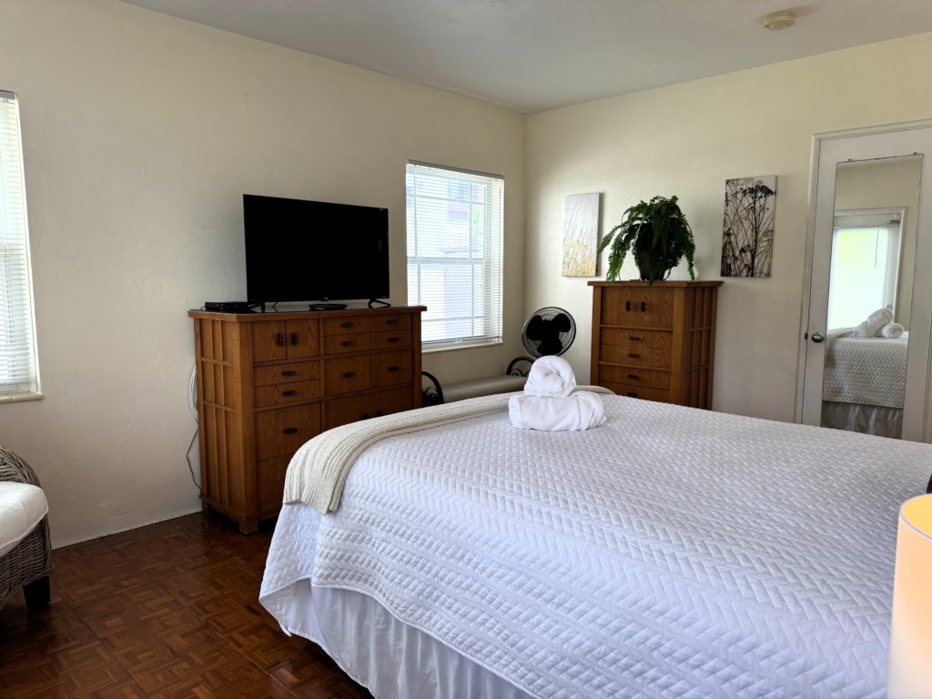 Master Bedroom pic6