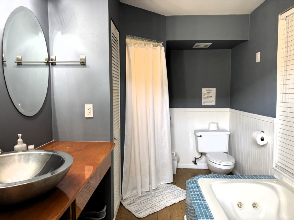 Master Bathroom1