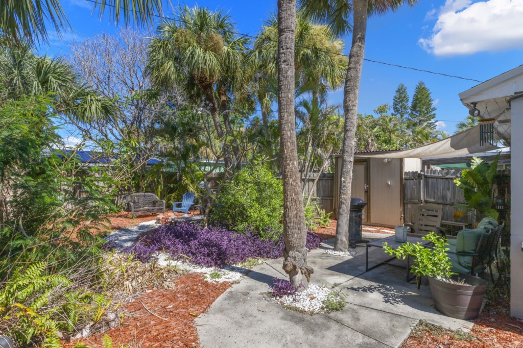 Large Backyard
