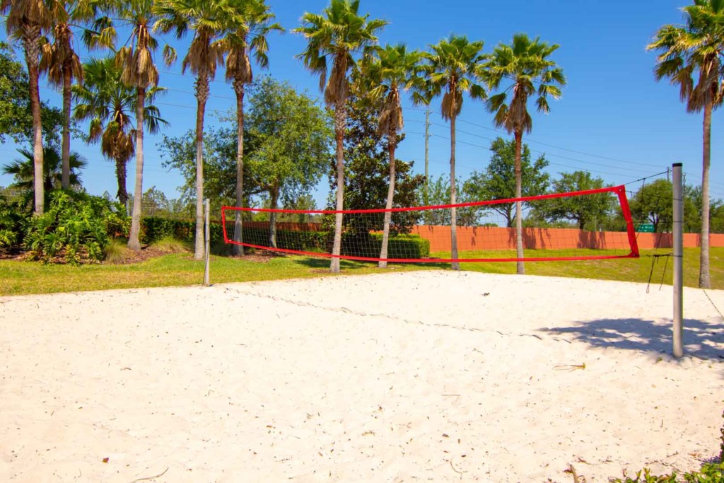 Volleyball court