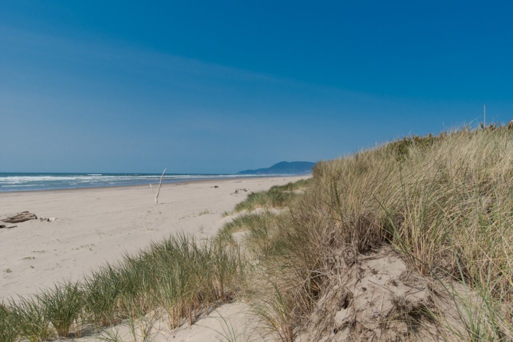 SeaLaVie On The Beach