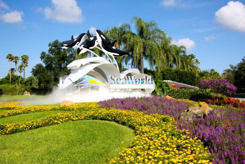 Sea World is one of many fun Attractions in Orlando!