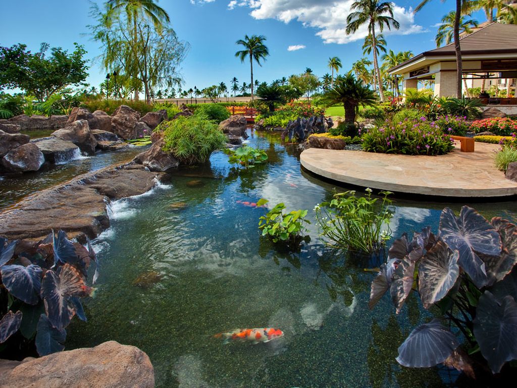 Ko Olina Beach Villas gardens and ponds with Koi fish.