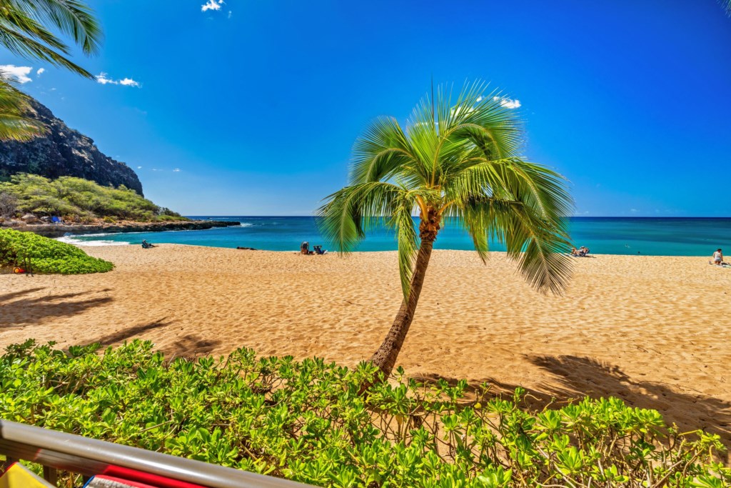 Relax under a palm tree right in front of your lanai