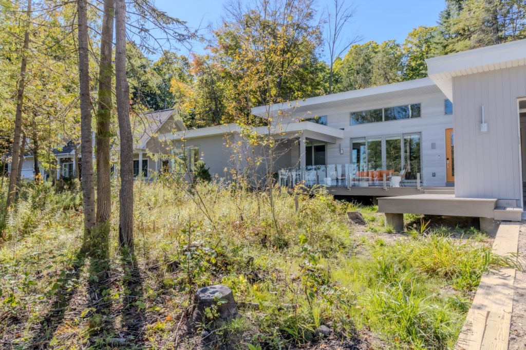 wetland and front of the home