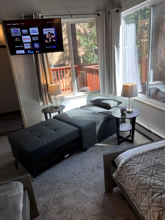 1st Floor twin bedroom w/ extra sleeper sofa