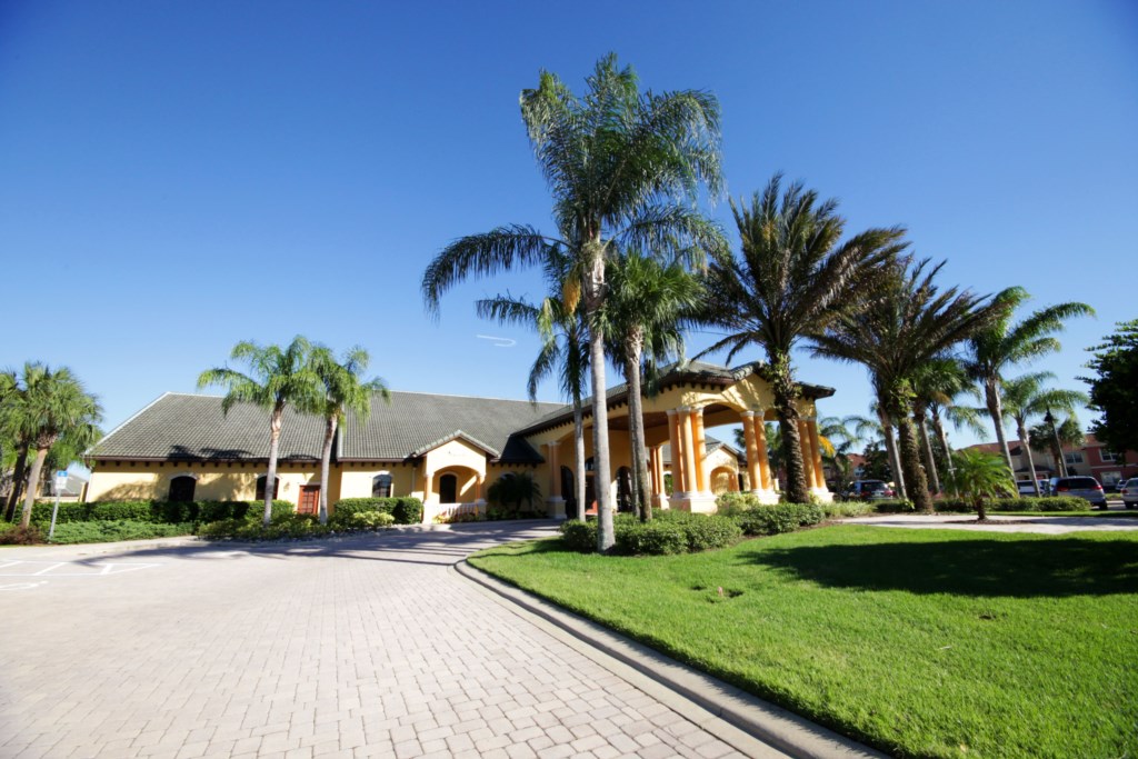 Paradise palms - 1.026.JPG