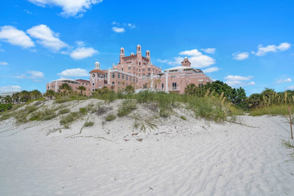 Don Cesar
