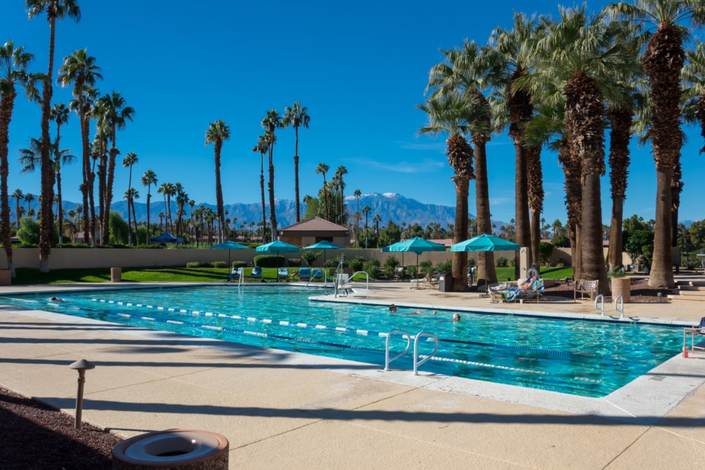 Resort-style pool surrounded by palm trees with mountain views.