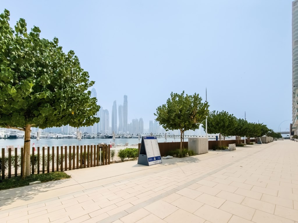 AP_BchVistaT2_103_131