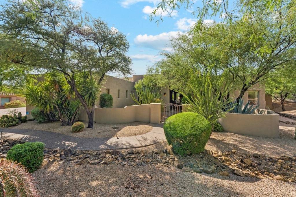 Desert-themed front yard with native plants and spacious driveway.