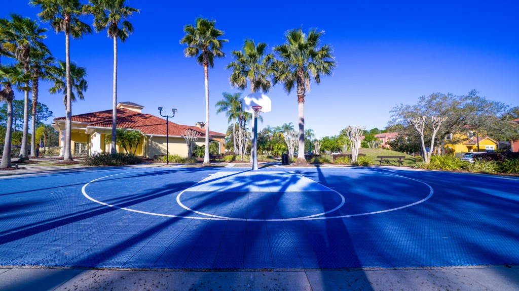 Basketball court