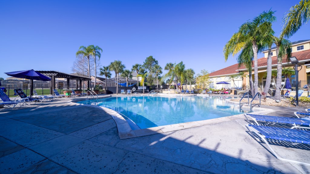 Beautiful Swimming pool