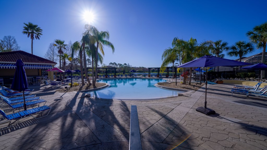 Beautiful Swimming pool, palm trees.