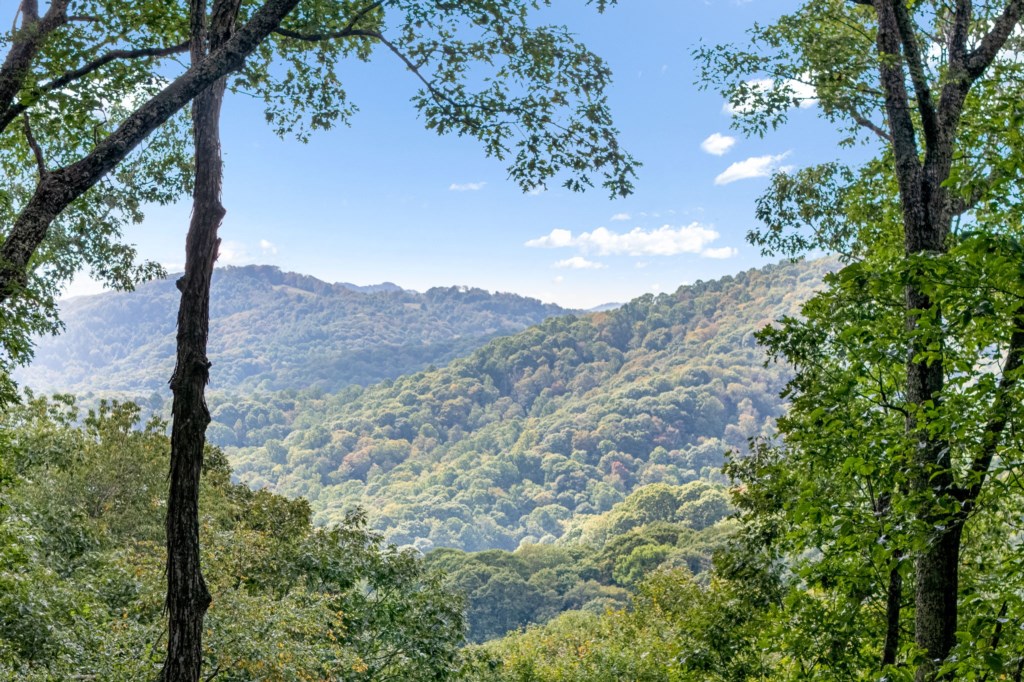 41-web-or-mls-792-mcdaris-loop-dr