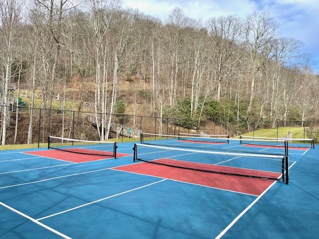 PickelBallCourts