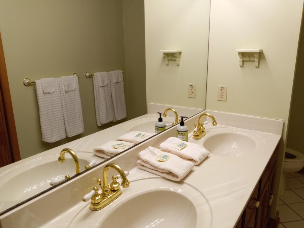 PrimaryBathSink
