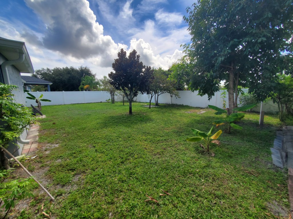 Backyard